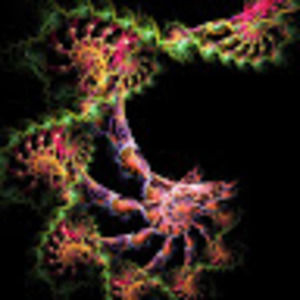 Meet your Posher, Prof